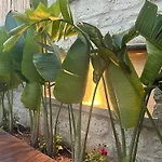 Hotel Minos Alacati Çeşme