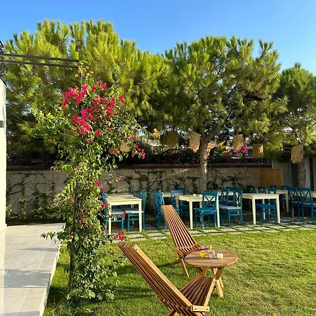 酒店 Minos Alacati