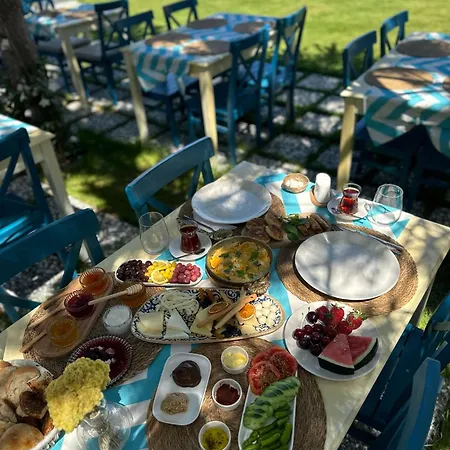 酒店 Minos Alacati