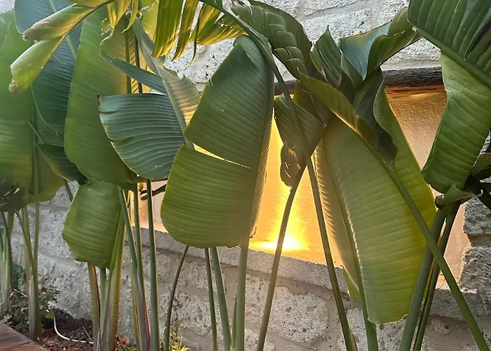 Отель Minos Alacati Кешме